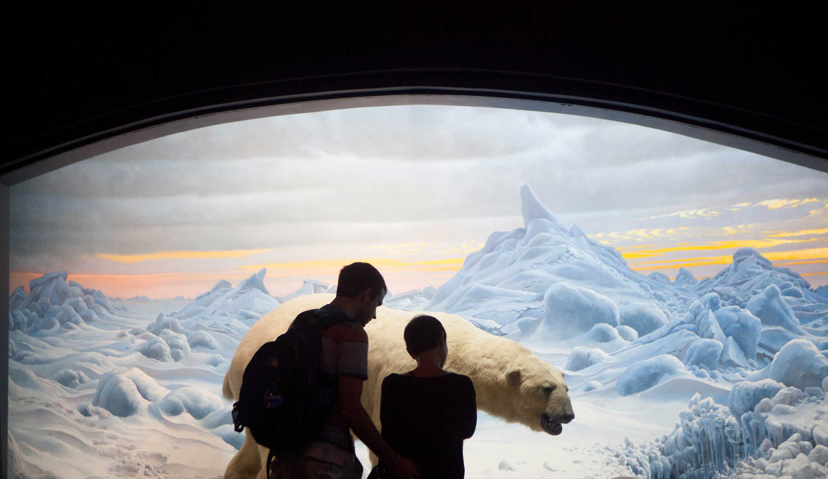 Polar Bear Exhibit